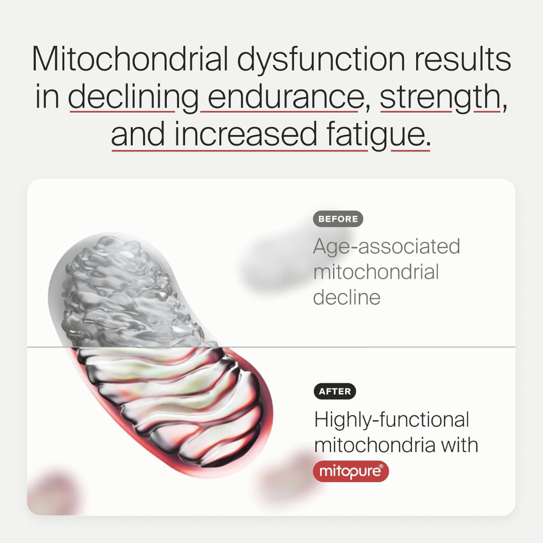 Timeline Mitopure Urolithin A - Clinically Proven Supplement for Healthy Aging and Cellular Renewal - Mitoceutical for Muscle Strength and Longevity - 60 Softgels