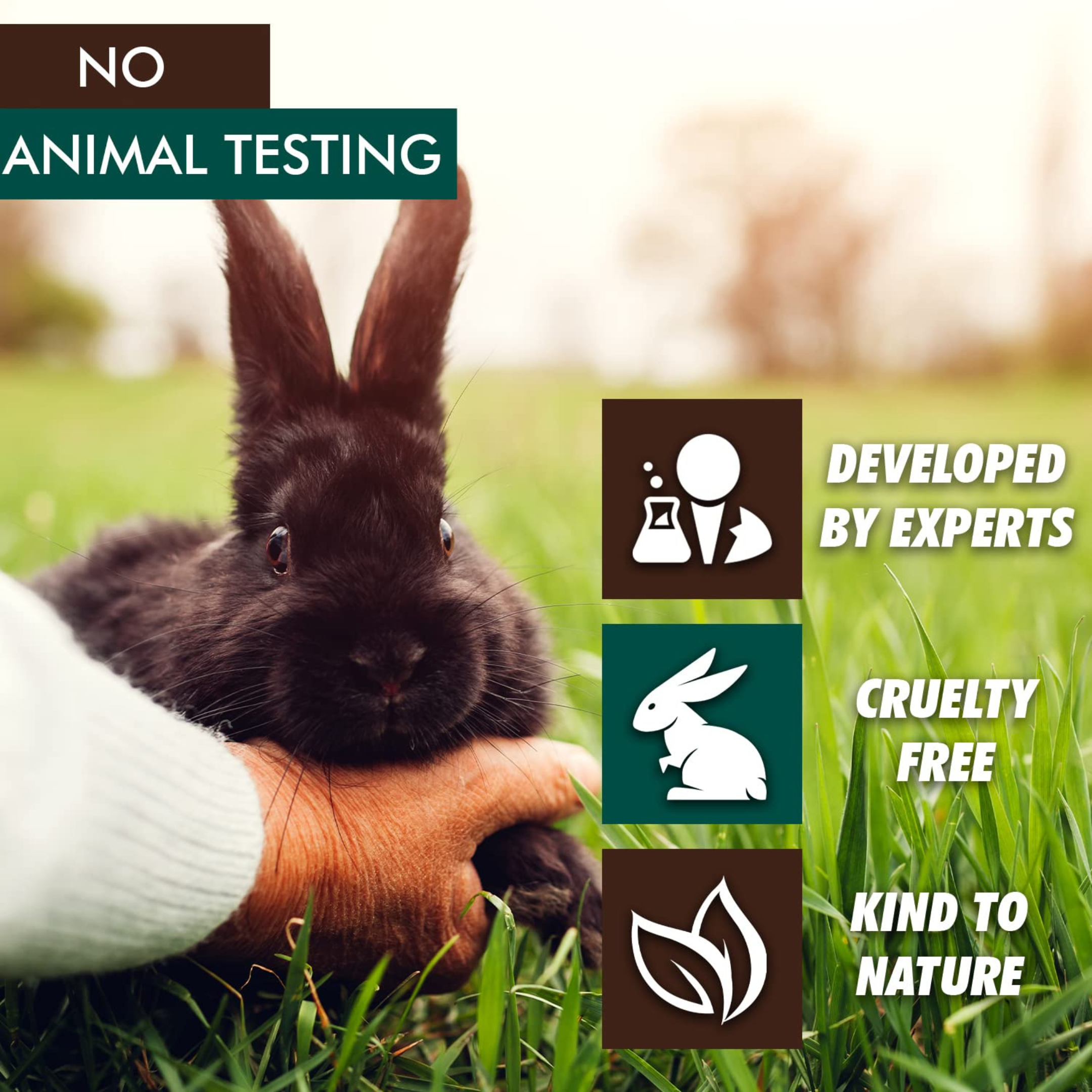 Tea Tree Oil Body Wash - Antifungal - Antibacterial Soap-Helps Athletes Foot - Toenail Fungus - Ringworm - Jock Itchy - Acne - Eczema - Yeast Infection - Body Odor - Itchy Skin - Sulfate Free - 16oz