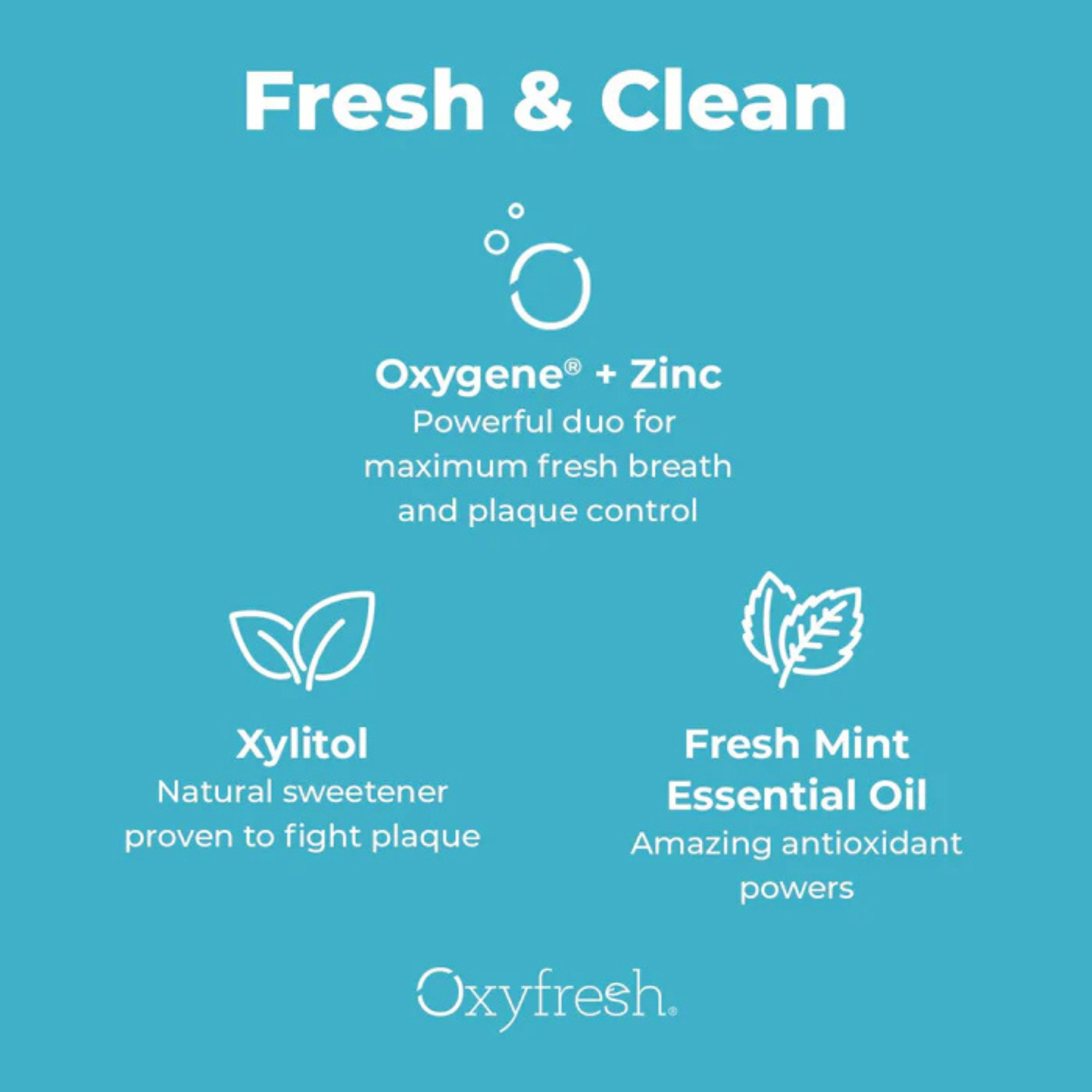 Premium Oxyfresh Pro Formula Fresh Mint Mouthwash – Patented Zinc Mouthwash for All Day Fresh Breath & Healthy Gums – Refreshing & Alcohol Free Mouthwash | 16oz
